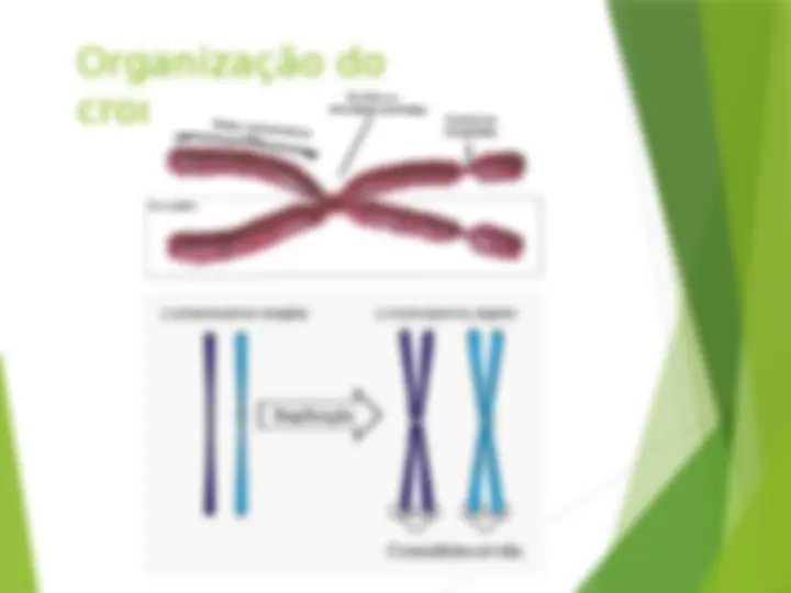 pf9