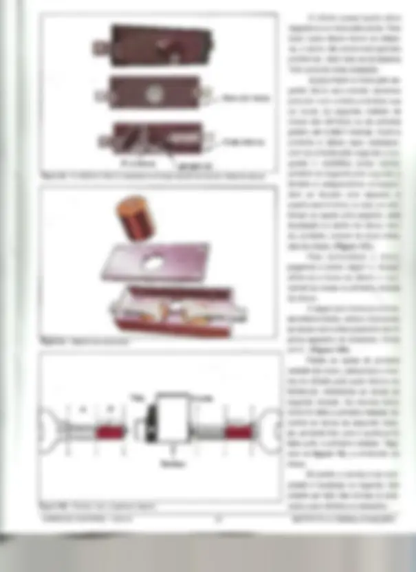 pf1b