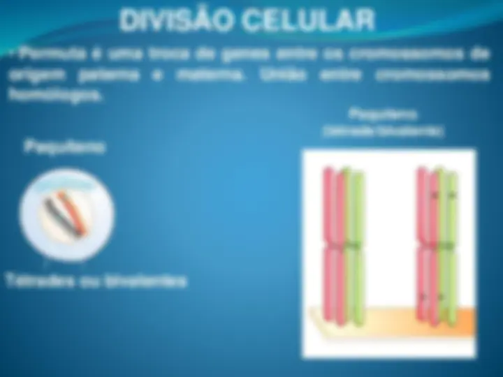 pfd