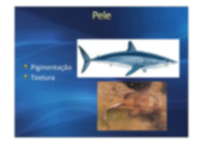 pf5