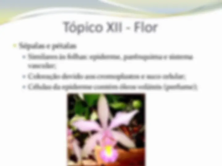 pf4c