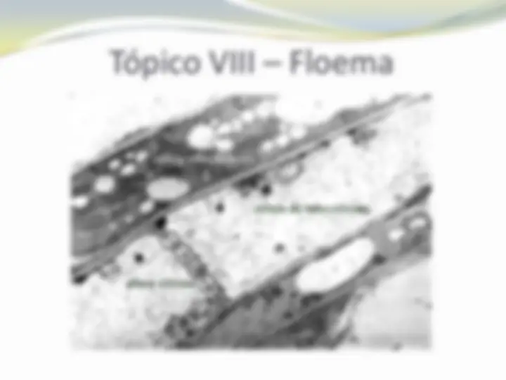 pf2f