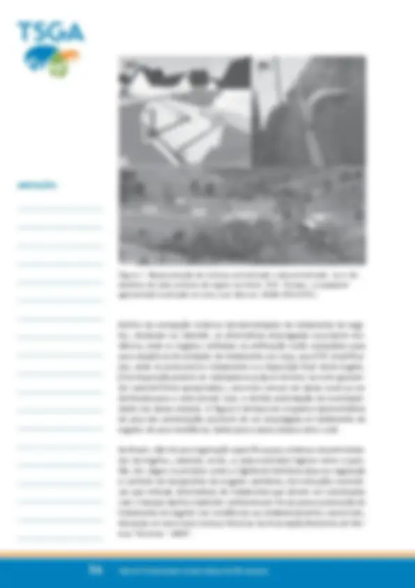 pf38
