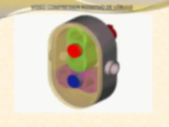 pf29
