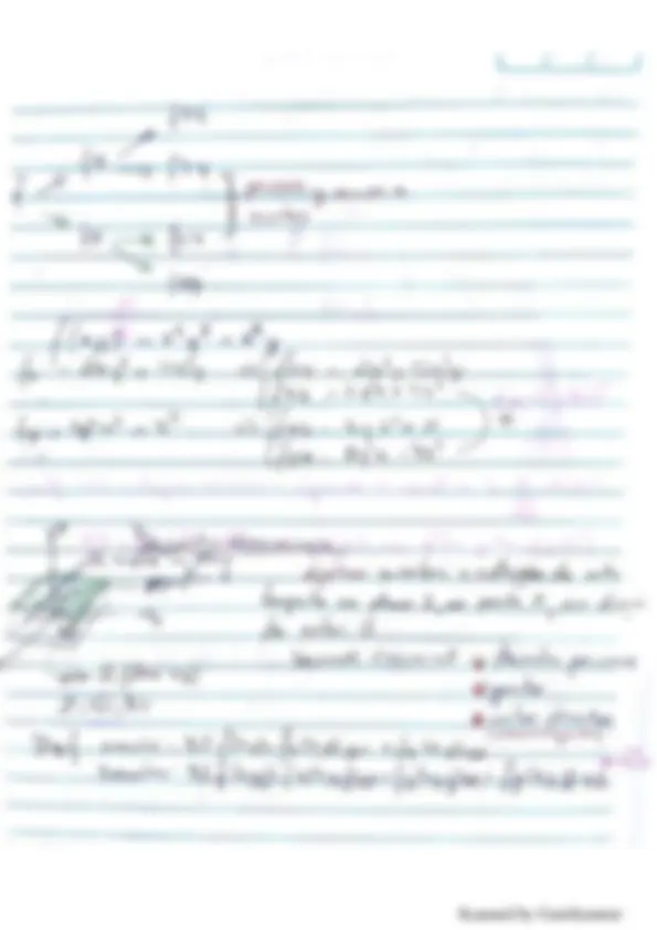 pf19