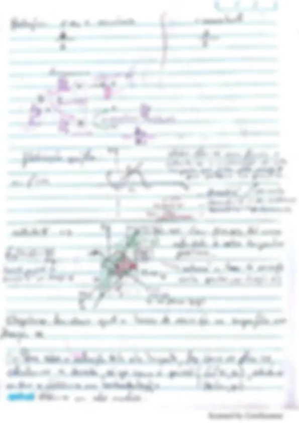 pf17