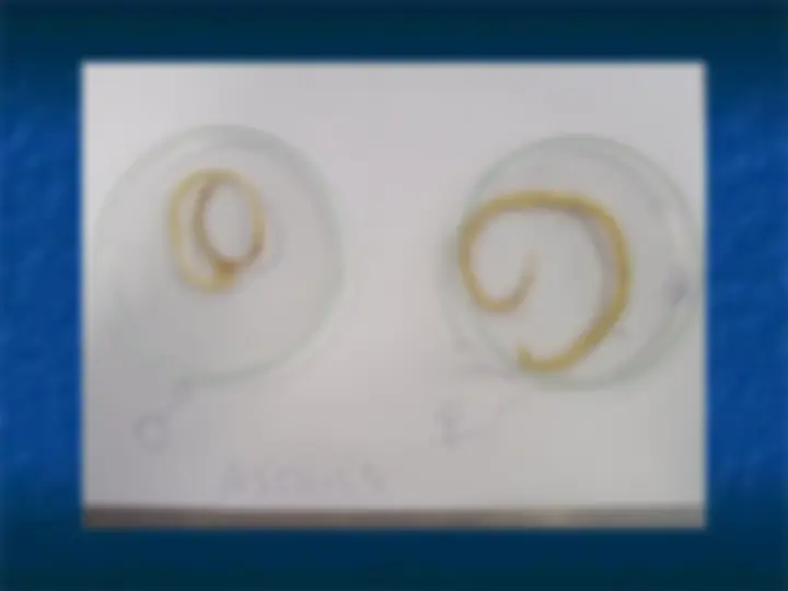 pf5
