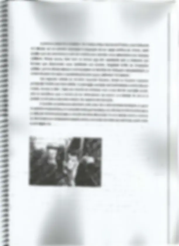 pf20
