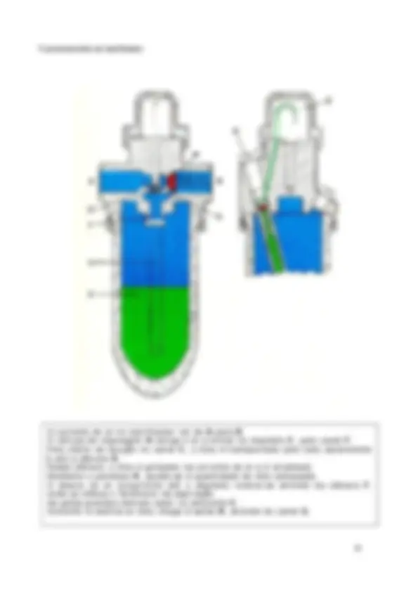 pf25