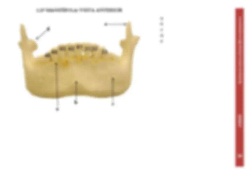 pf26