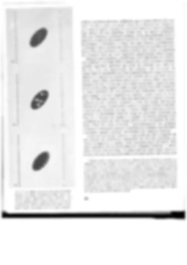 pf27