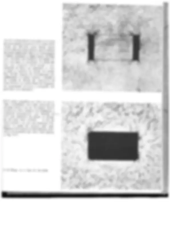 pf12