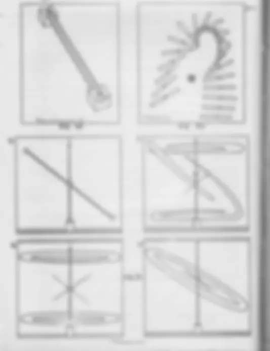 pf29