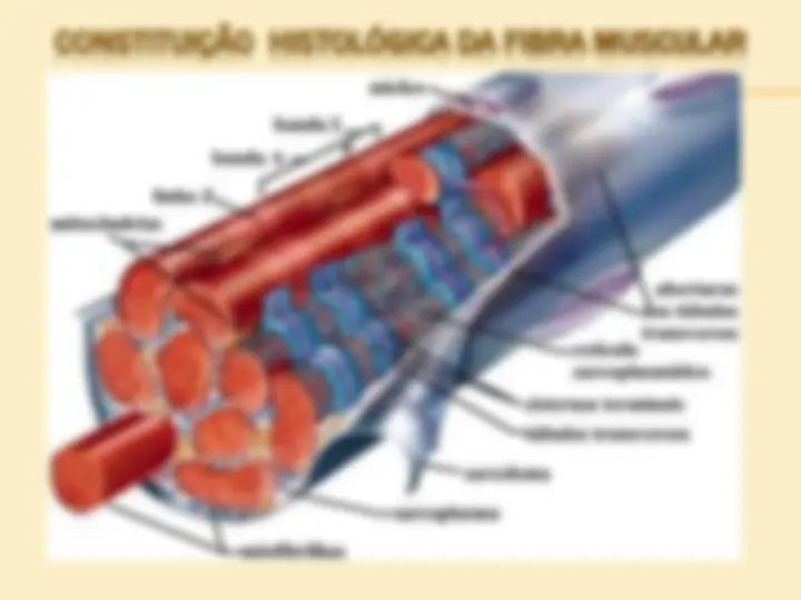 pf12