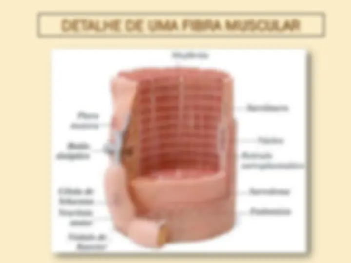 pfa