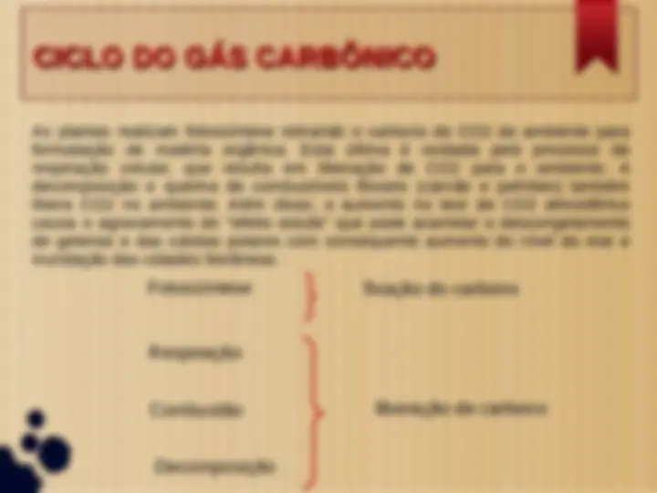 pf5