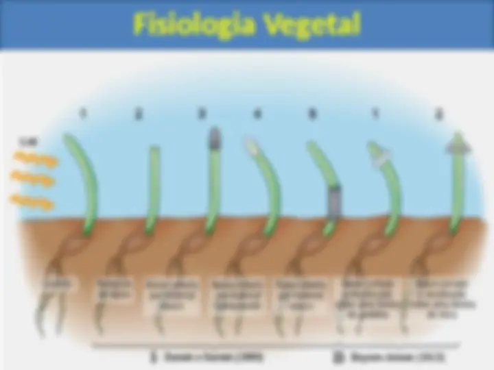 pfa