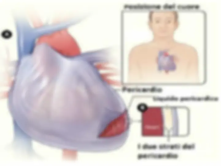 pf5