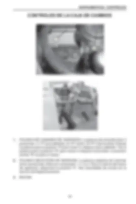 pf21