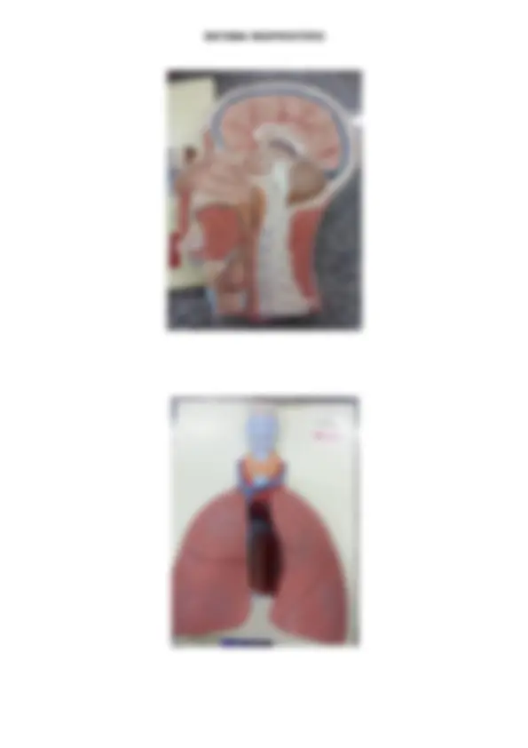pfa