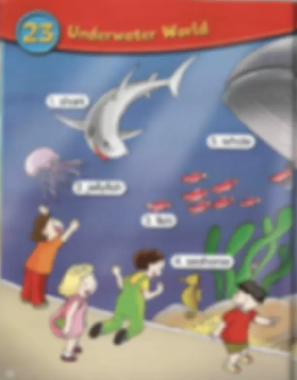 pf31
