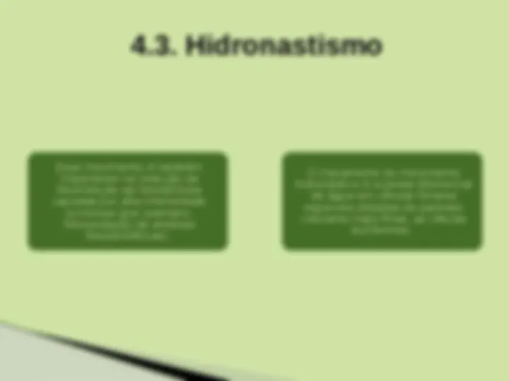 pf1e