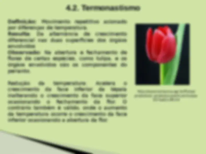 pf1b