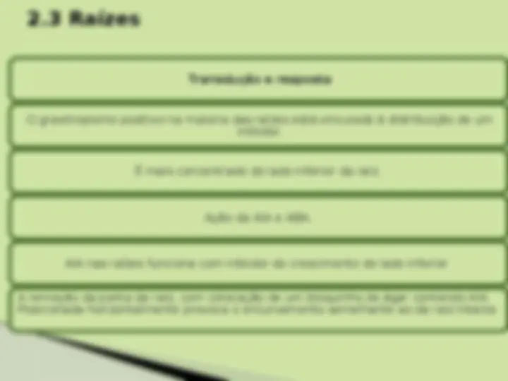 pff