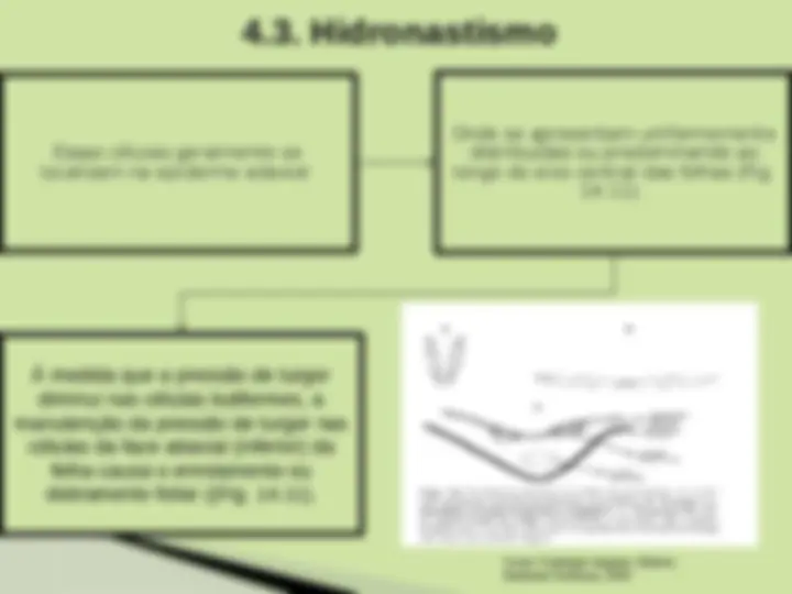 pf1f