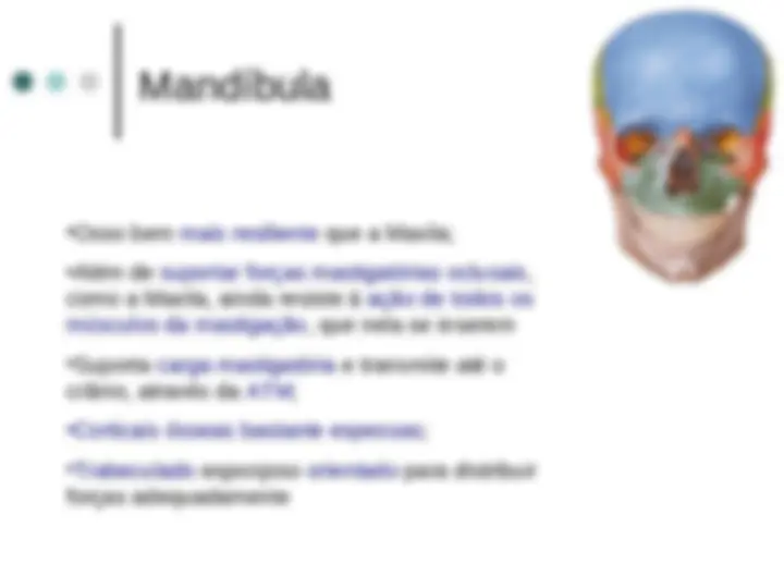 pf26