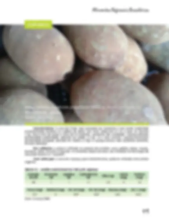pf32