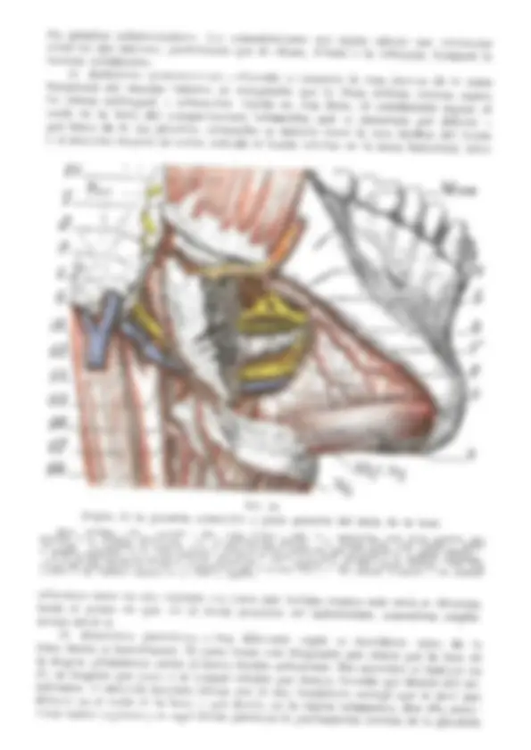 pf2a