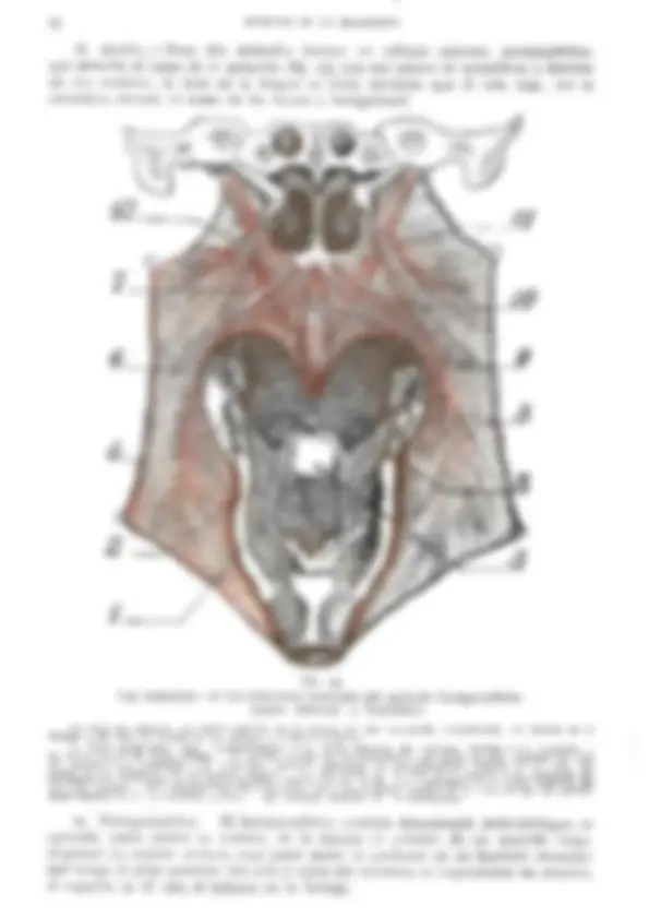 pf36