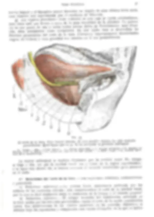 pf29