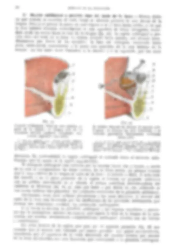 pf26