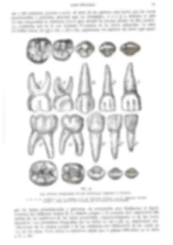 pf51