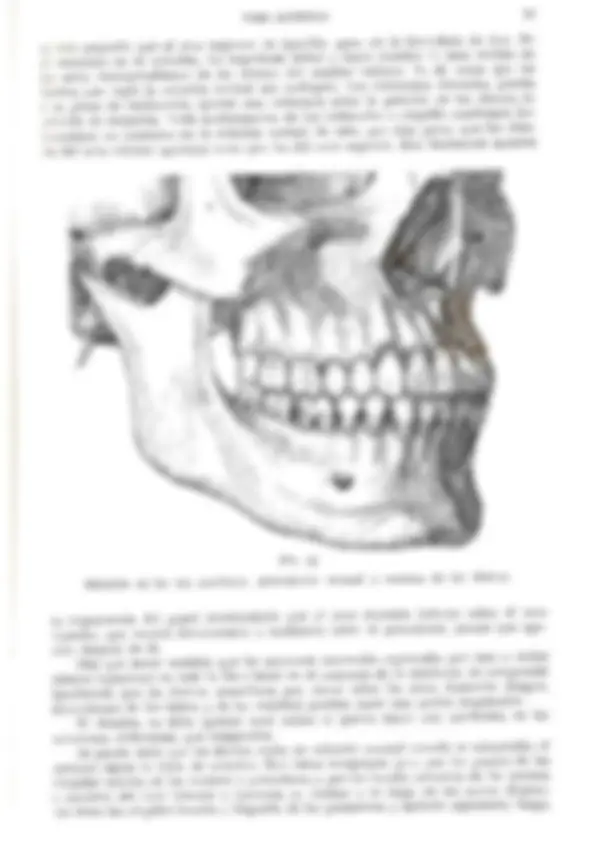 pf55
