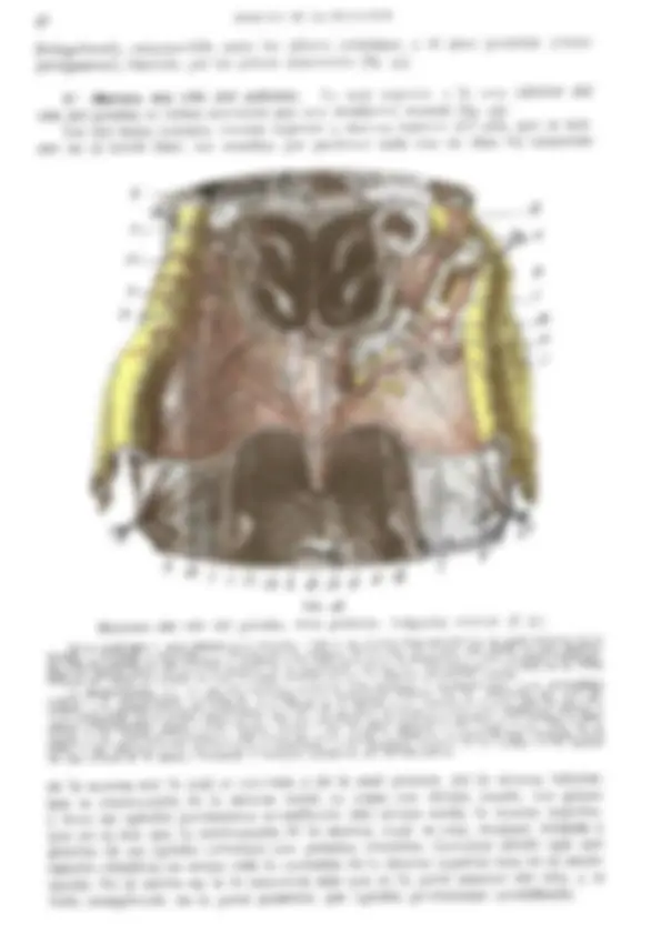 pf38