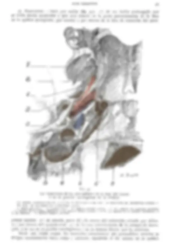 pf33