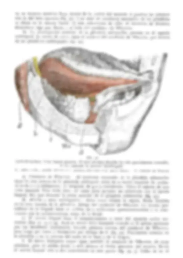 pf28