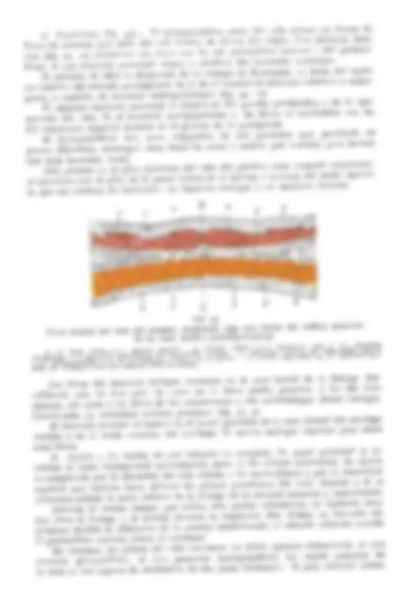 pf37