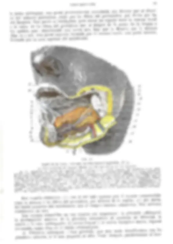 pf27