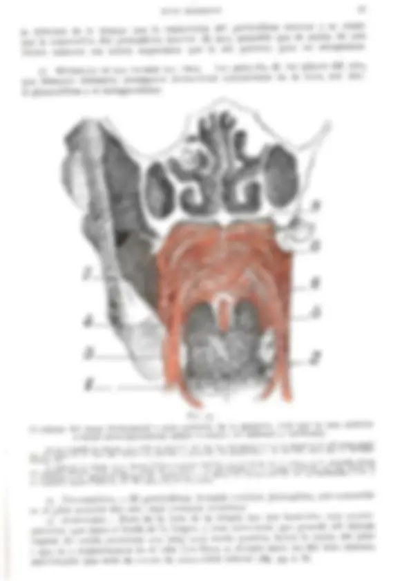 pf35