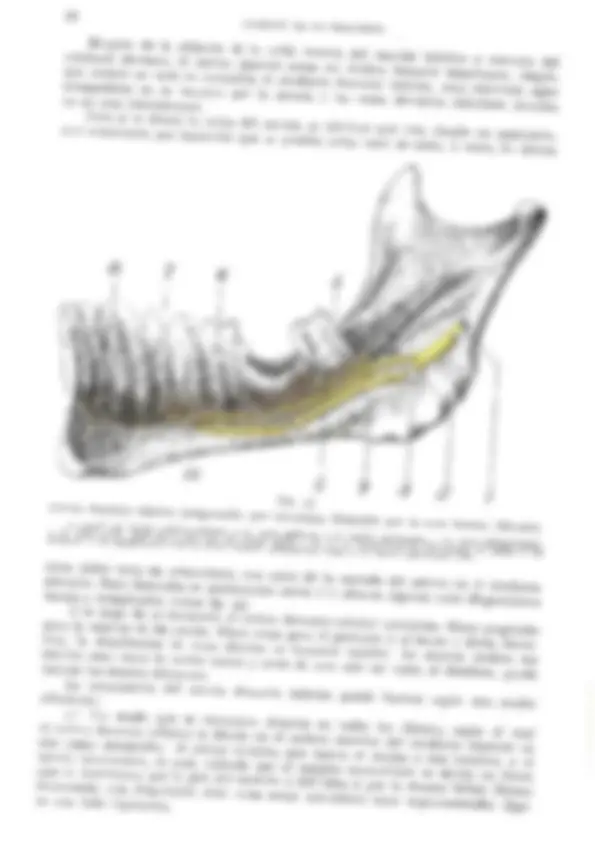 pf62