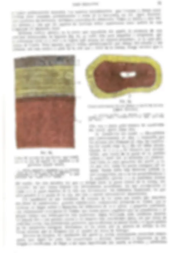 pf59