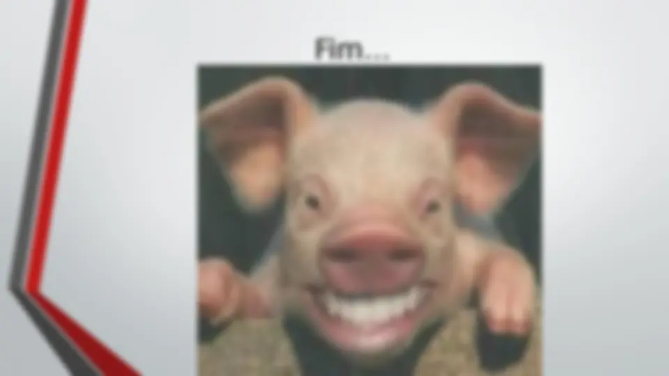 pf13