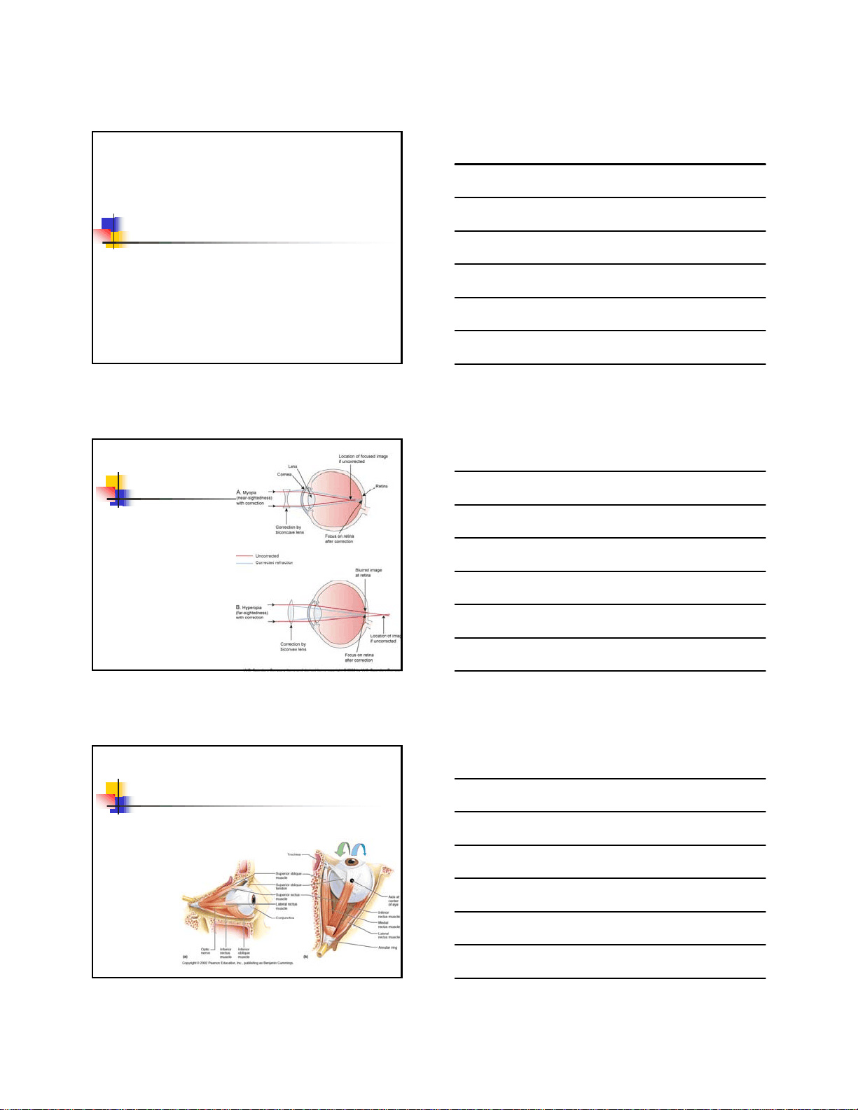 bg1