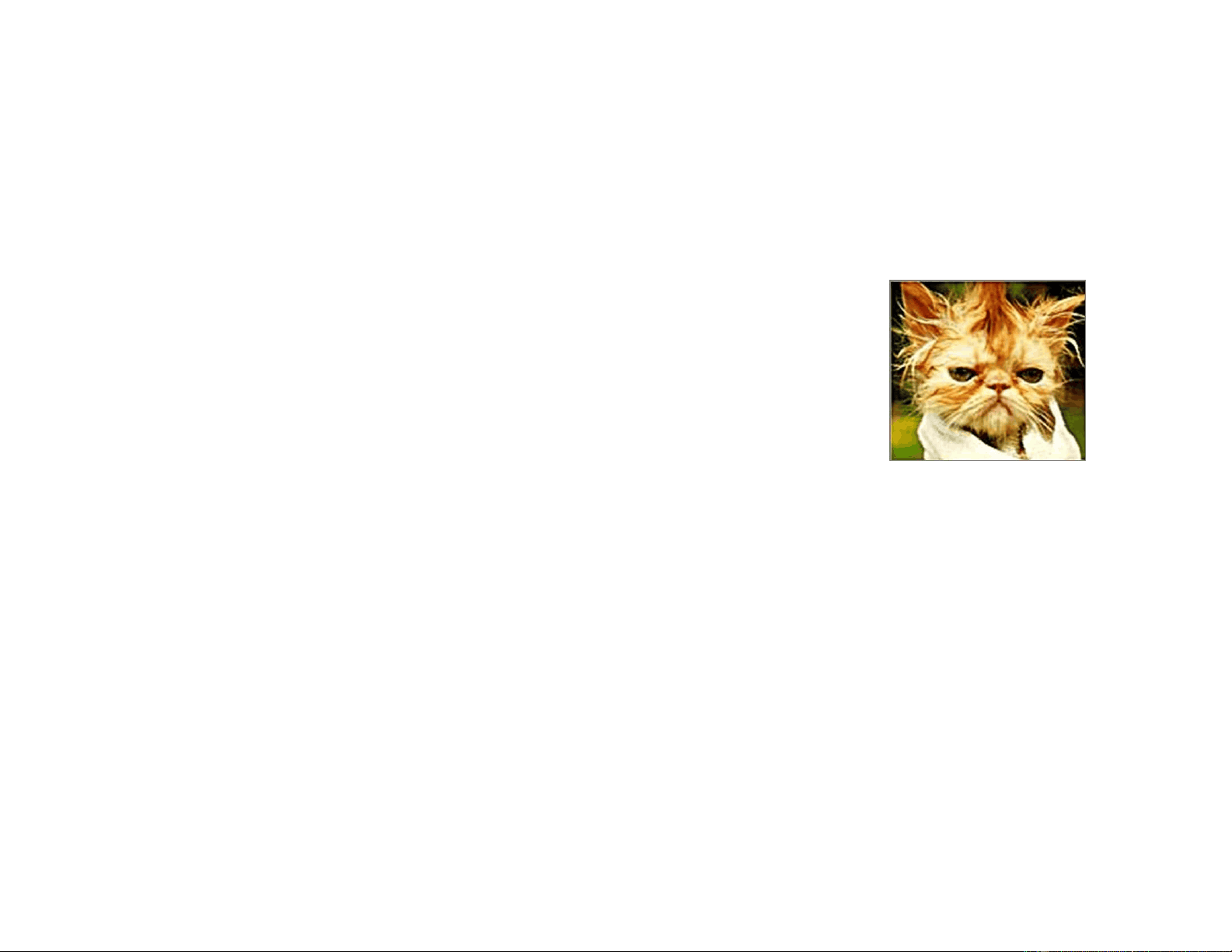 bg1