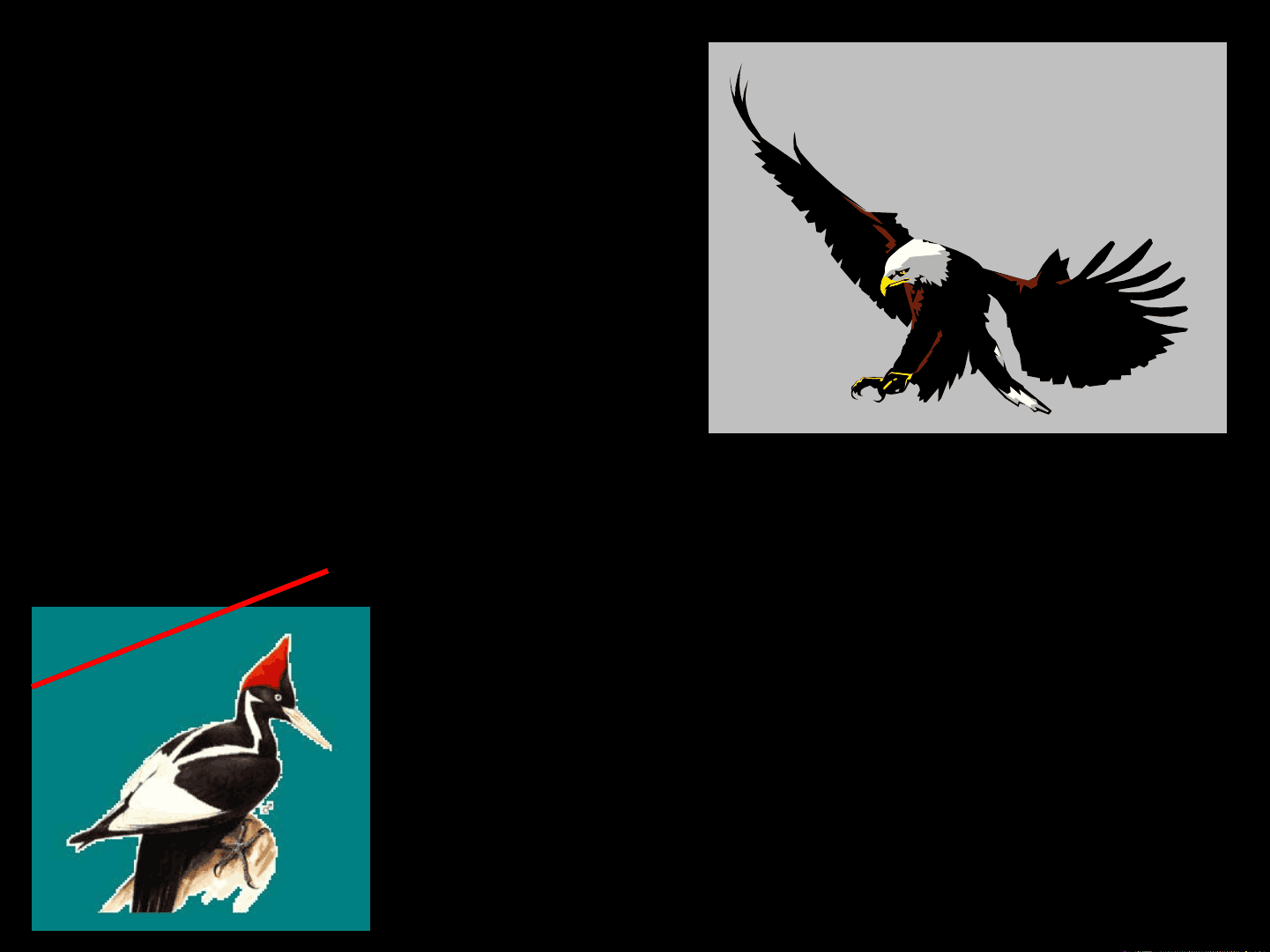bg1