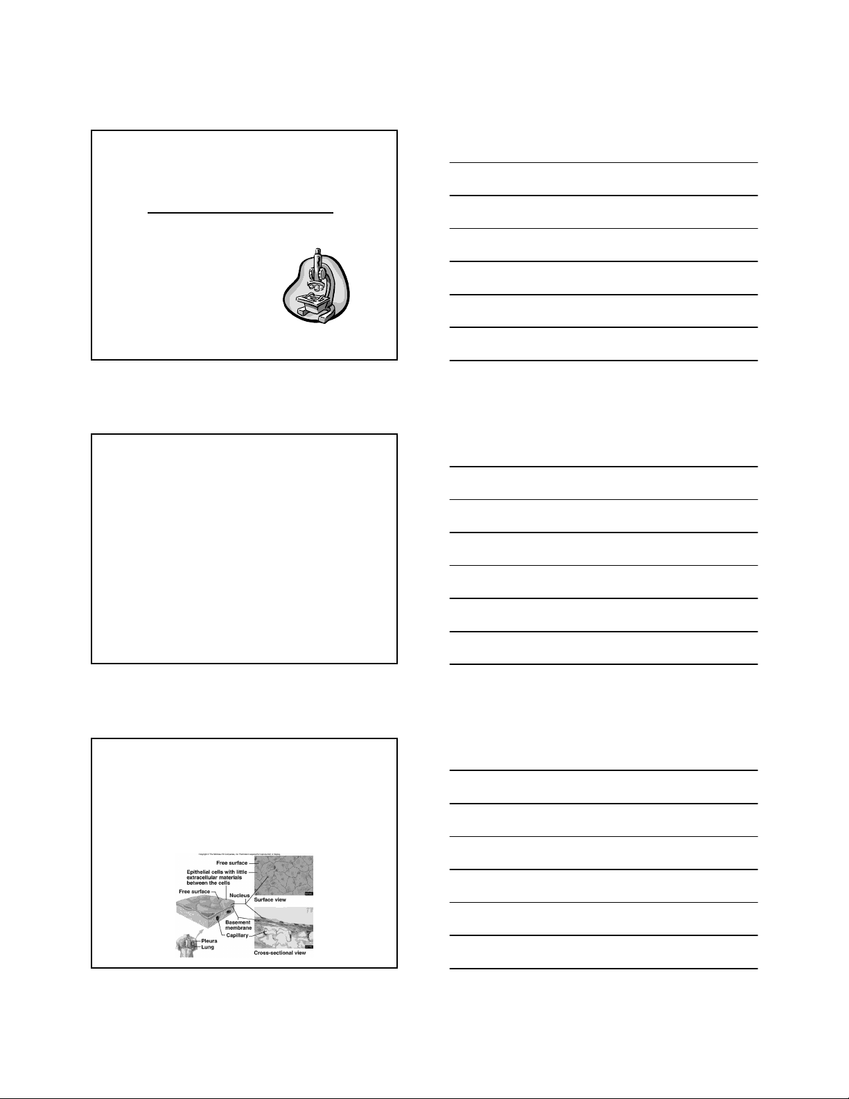 bg1